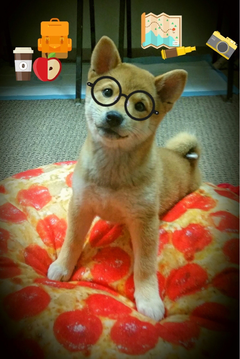 北欧力量压倒东方技艺，安赛龙关键制胜引领丹麦队完胜日本队