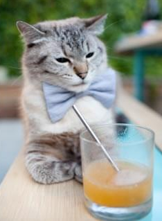 新星刺破暮光之城，少年皮克惊艳四座，里昂客场碾碎红军神话