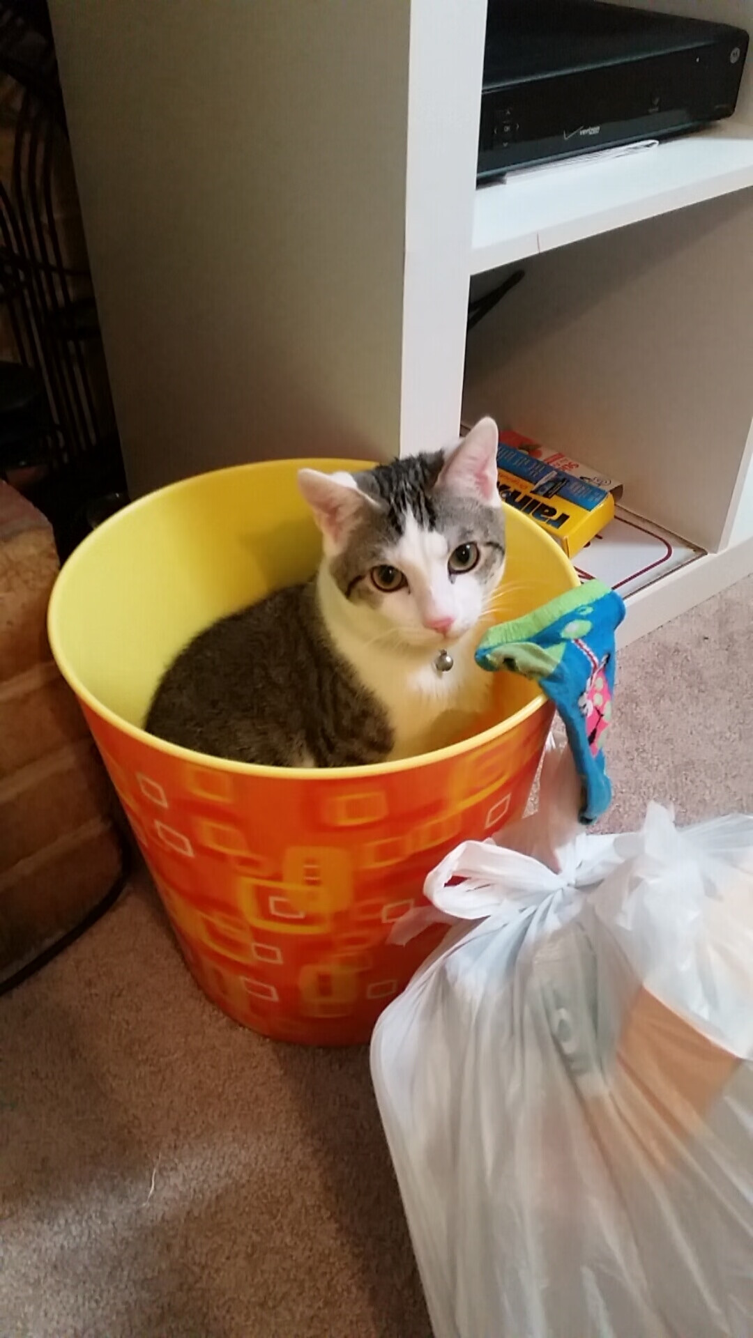 双星耀京华，霍勒迪导演逆转，太阳三分雨压制北京反扑