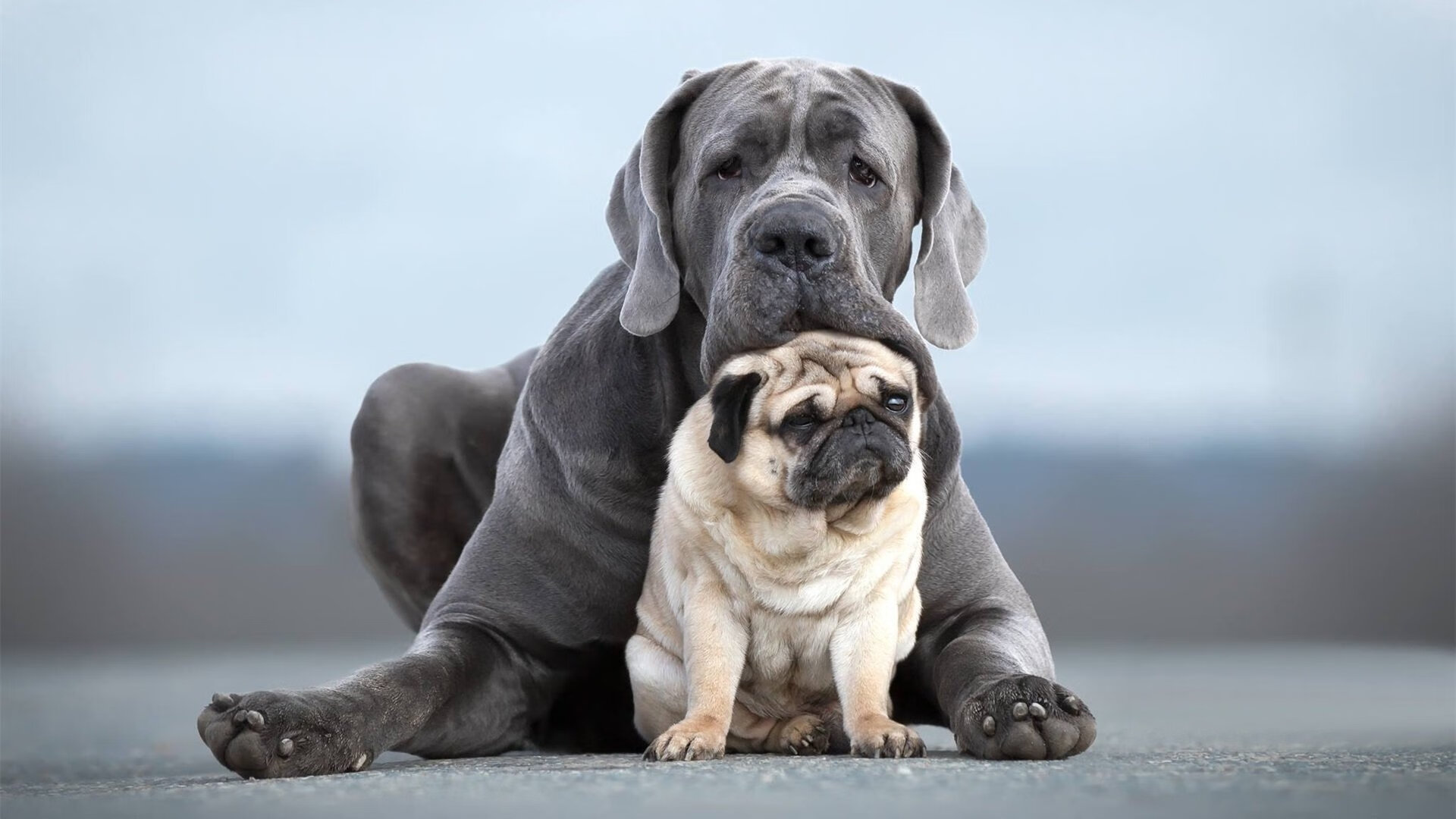 东决关键战之夜，金玟哉如金刚锁链，锁死对手冲击波