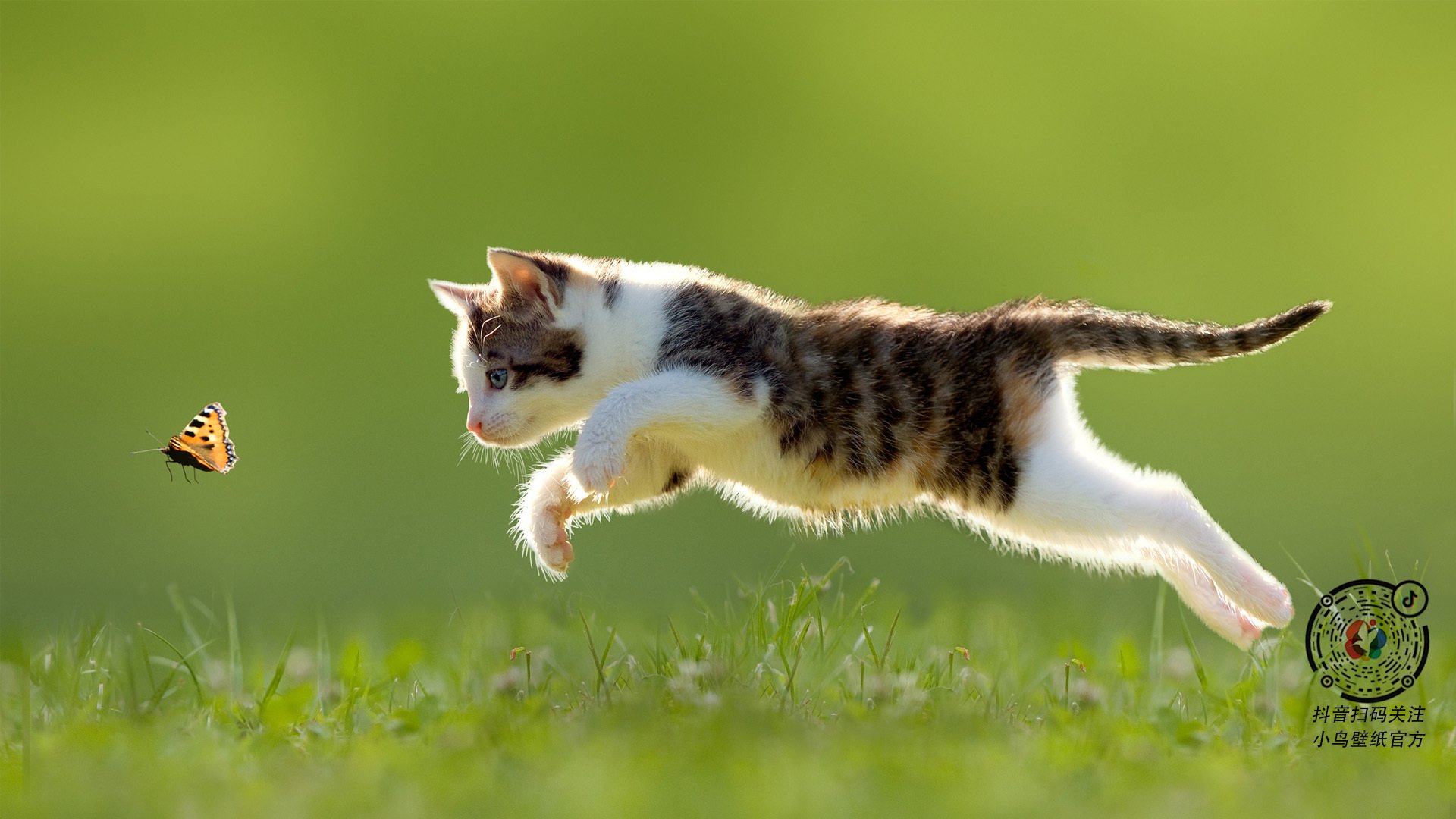 基耶萨利刃狂舞,南美风暴囚困药厂—一场个人英雄主义与战术铁壁的史诗对决