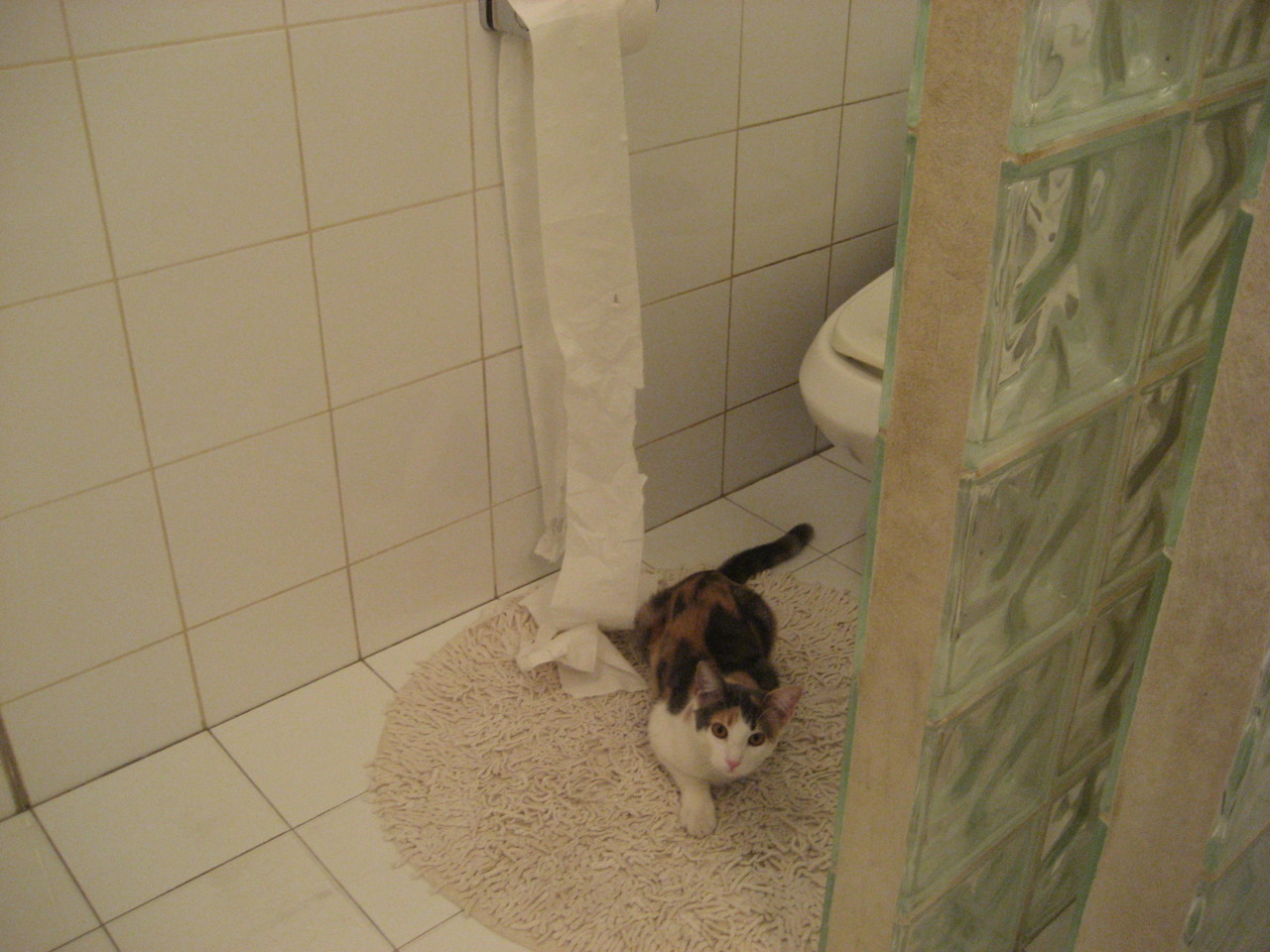 压哨绝杀与半决赛接管,不同战场,同一种大心脏基因