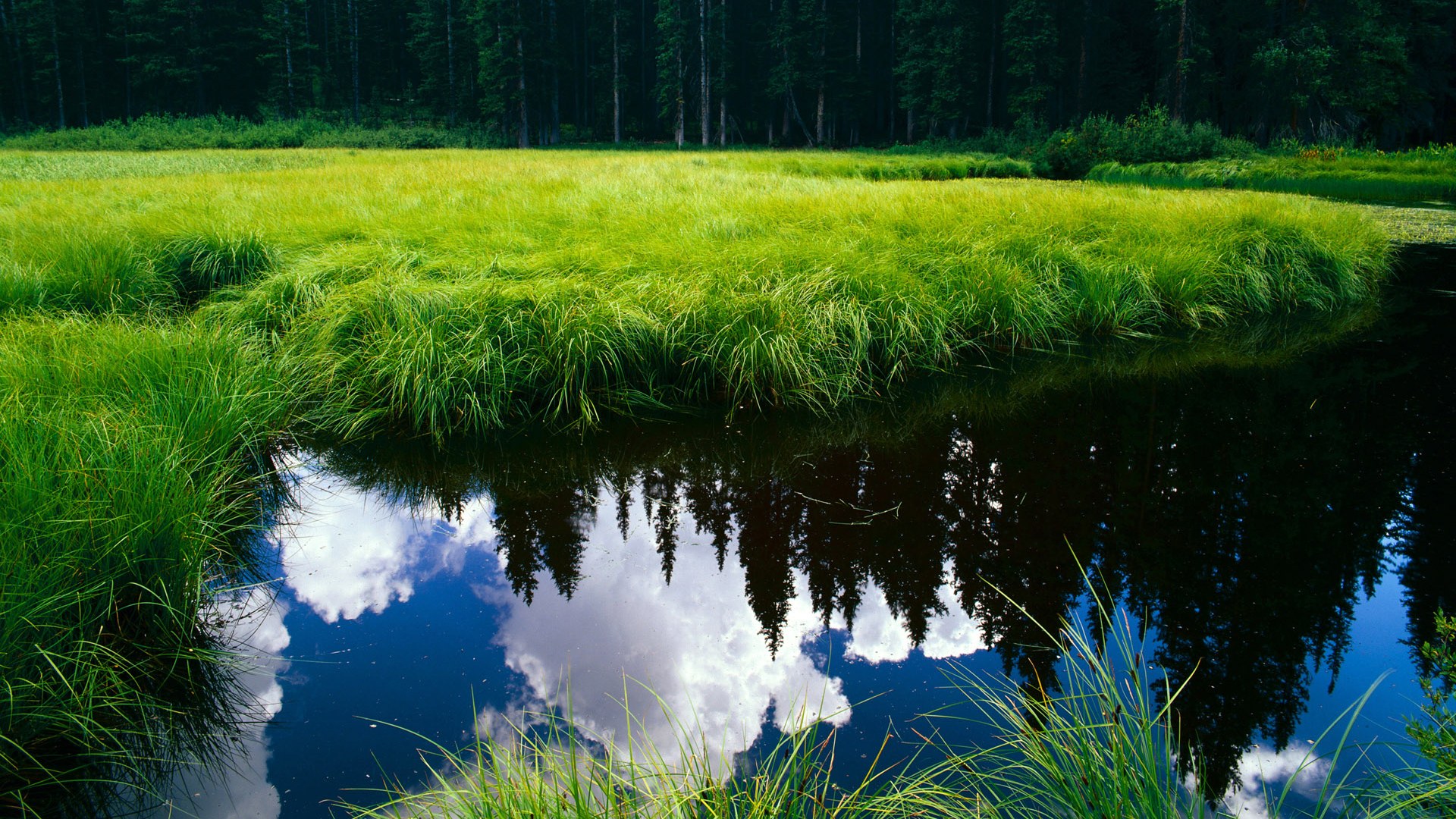 北非之光提前终结悬念,贝林厄姆新王登基