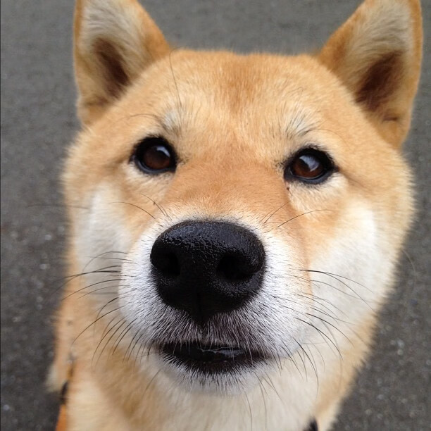 阿坎吉，今夜唯一