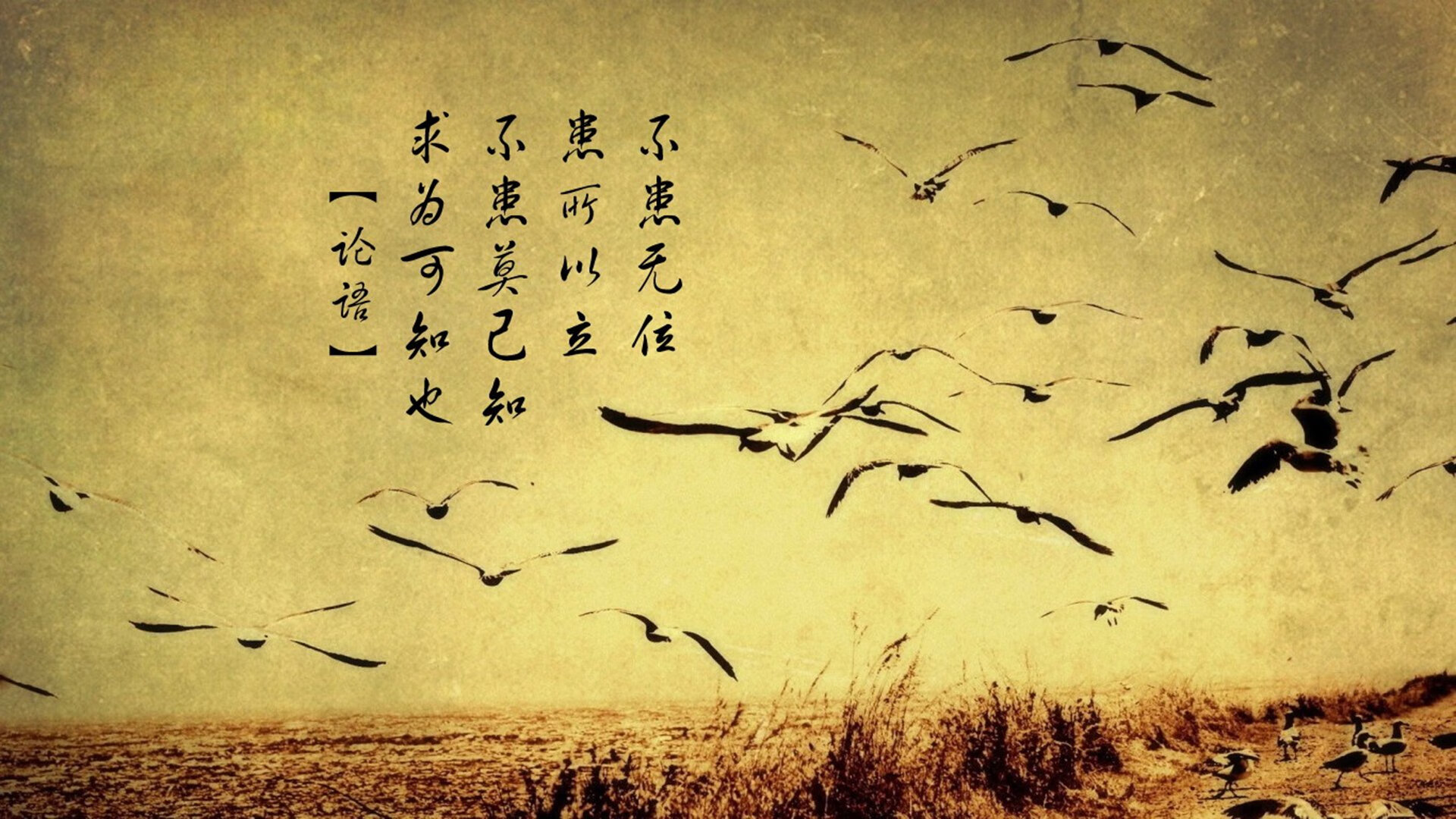 时空裂隙中的荣耀，当吉林队站上NBA总决赛舞台