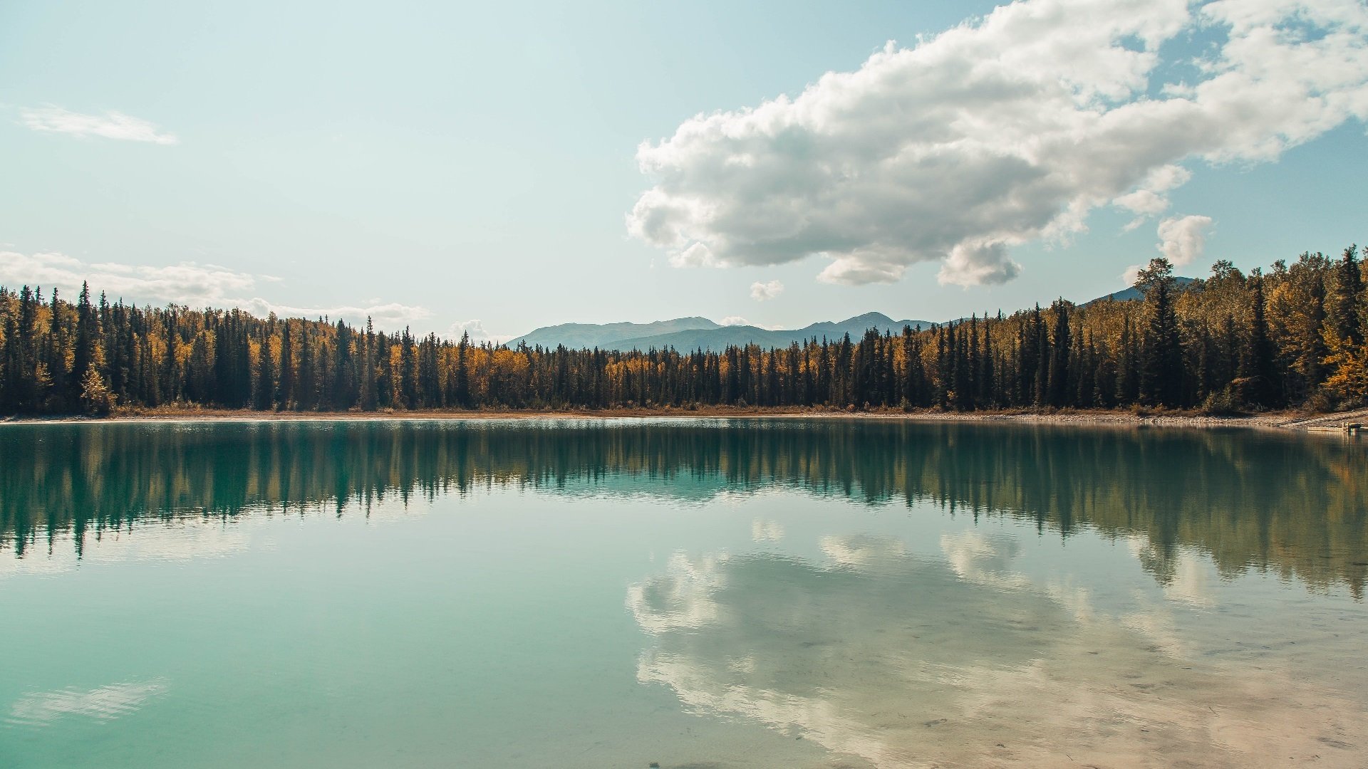 独舞与合奏，东契奇的狂想夜与骑士的沉稳诗篇
