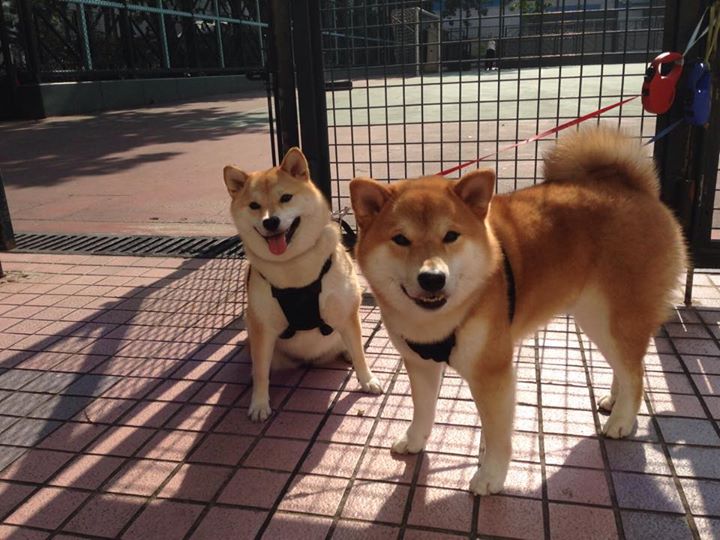 厄瓜多尔狂胜雷恩,姆巴佩神勇带动全队节奏