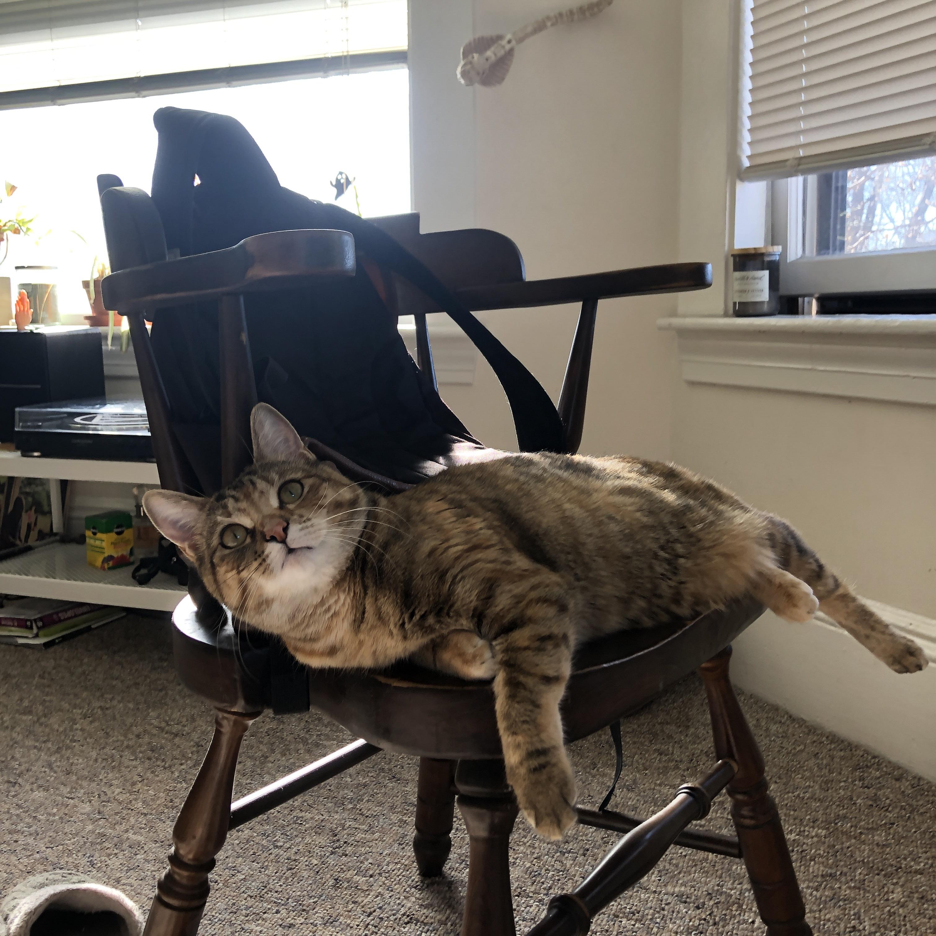 赖斯法则,一粒爆射改写沙特的沙漠法则