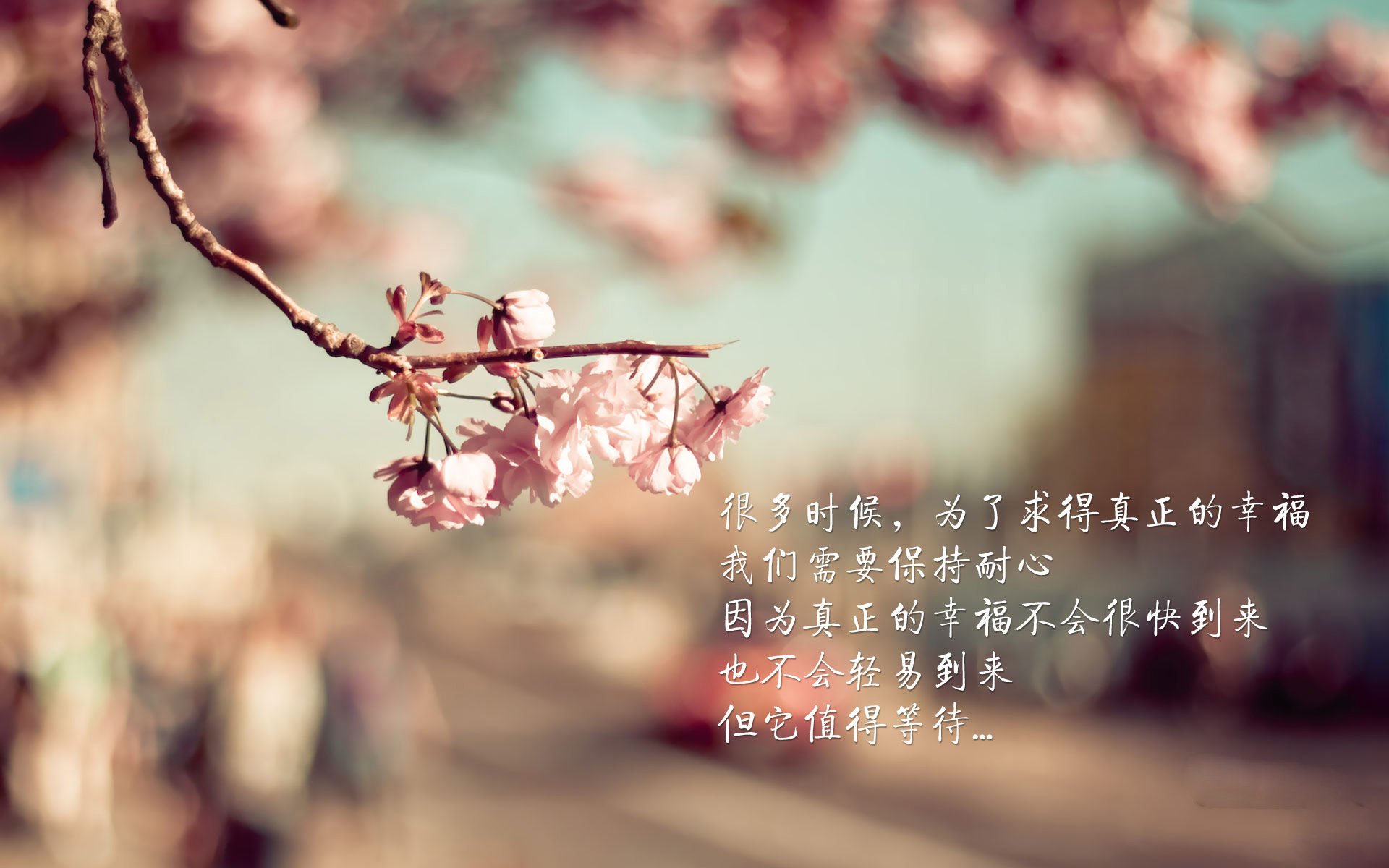 魔术师莱奥在绿茵场降维打击,拉齐奥的利刃让伊拉克的防守沦为背景板