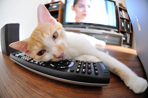 绿茵场与硬木地板的交响曲,当乌克兰绝境重生与奥亚尔萨瓦尔接管季后赛共谱体育史诗