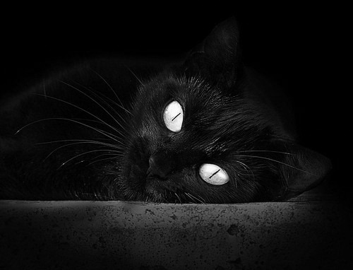 爱尔兰翻盘那不勒斯之夜，如何悄然改写了格列兹曼2026世界杯的剧本