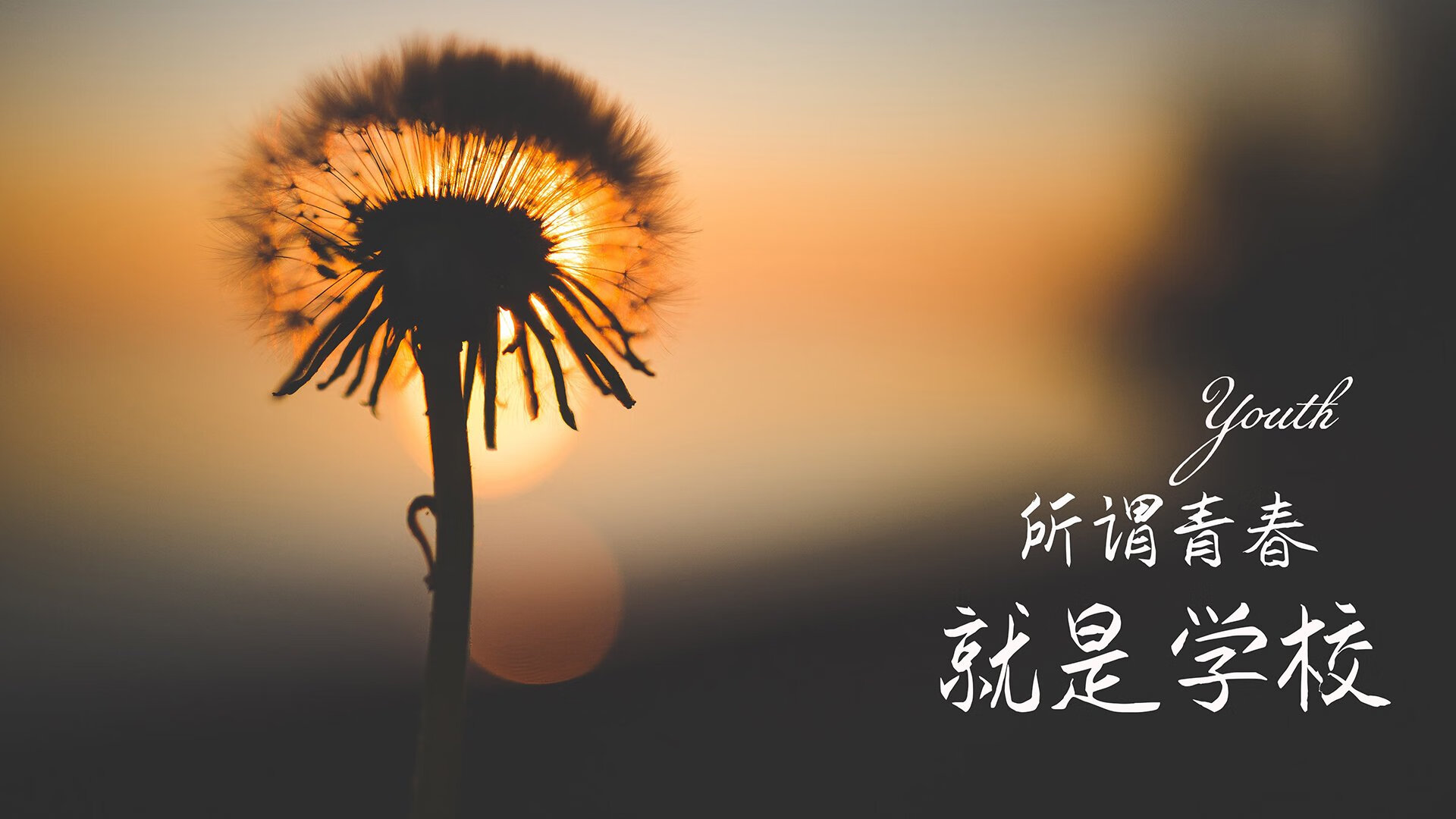 大漠孤烟与南美狂舞，布罗佐维奇，2026世界杯A组战局中那把无形的钥匙