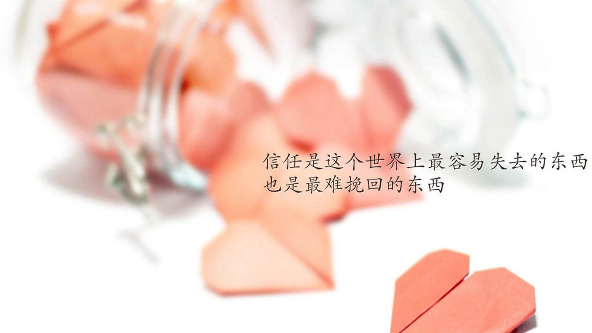 唯一性的交错,哈兰德、乌拉圭与2026世界杯出线战的不可复刻瞬间